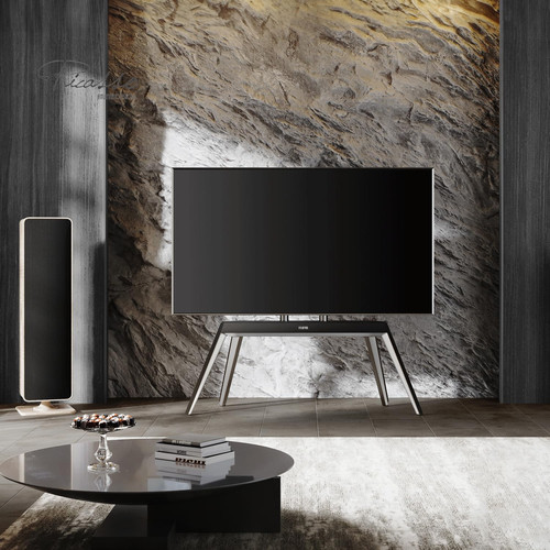 Fitueyes picasso stand - picasso,